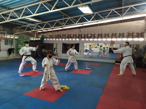 Gimnasios artes marciales en Maracay