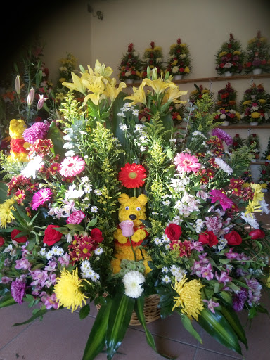 Paraíso Floreria's florería en  en la zona Xelpac Cuauhtémoc