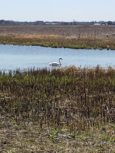 Nature Preserve «Rollins Savanna Forest Preserve», reviews and photos, 20160 W Washington St, Grayslake, IL 60030, USA