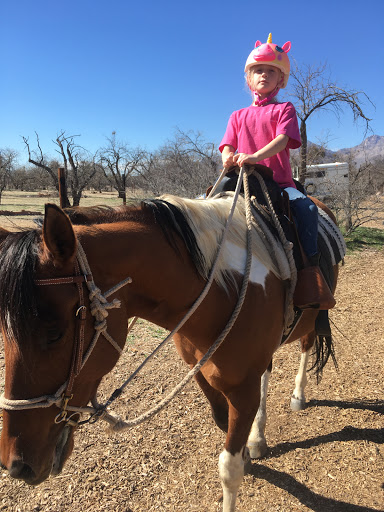 Heart of the Horse Ranch