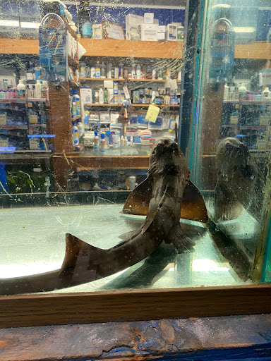 Pet Store «Exotic Fish», reviews and photos, 406 Northside Dr # F, Valdosta, GA 31602, USA