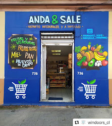 Andaysale chile