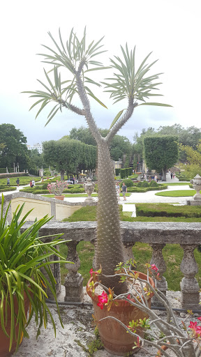 Museum «Vizcaya Museum & Gardens», reviews and photos, 3251 S Miami Ave, Miami, FL 33129, USA