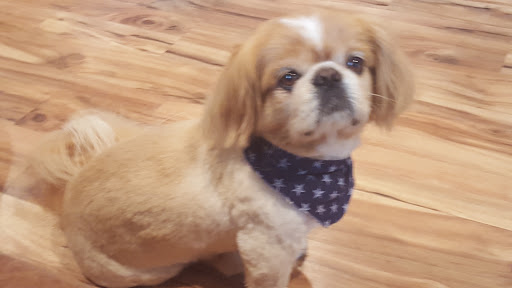 Pet Supply Store «Petsense Corinth», reviews and photos, 1663 Virginia Ln, Corinth, MS 38834, USA