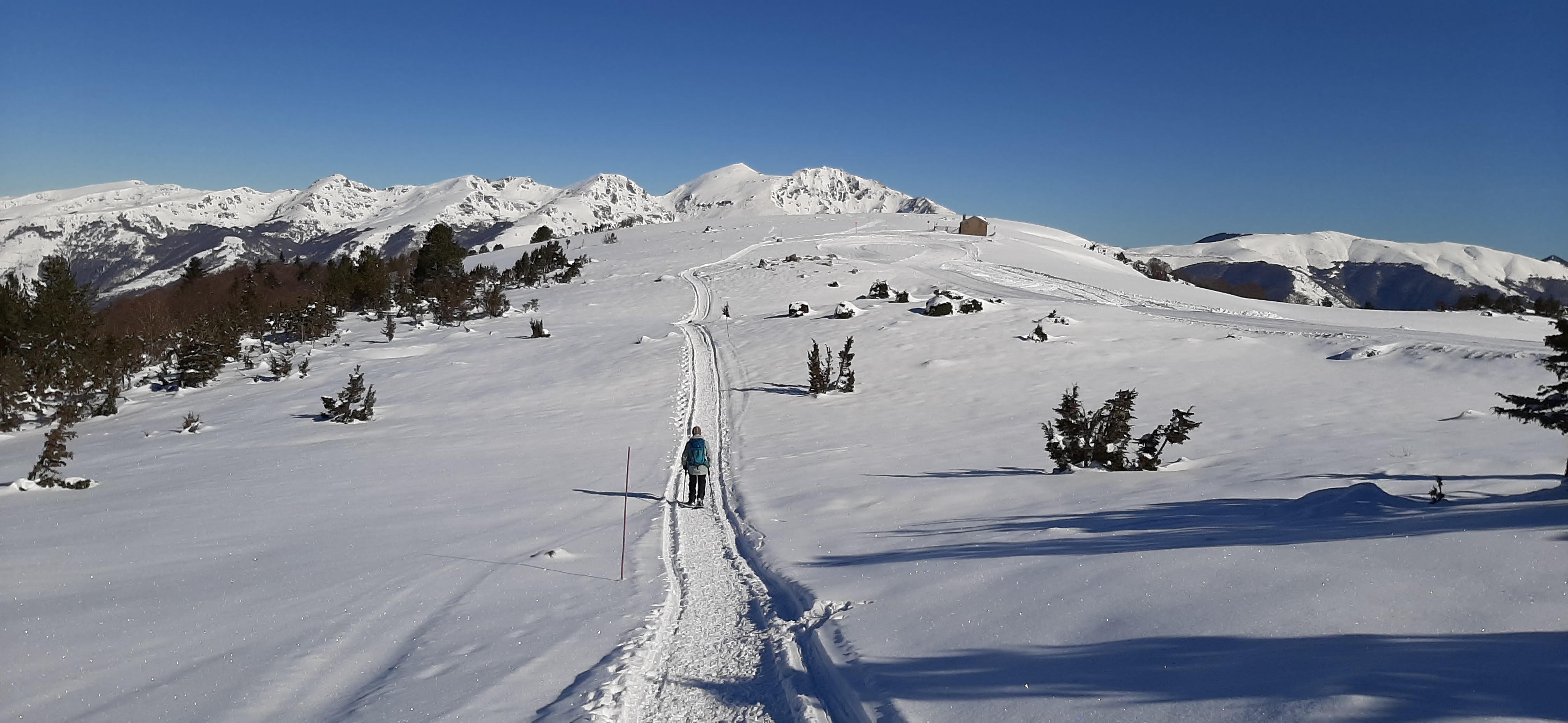 Photo n° 2 de l'avis de Françoise.E fait le 31/01/2023 à 15:48
