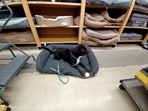 Pet Supply Store «Petco Animal Supplies», reviews and photos, 7400 Rivers Ave z, North Charleston, SC 29406, USA