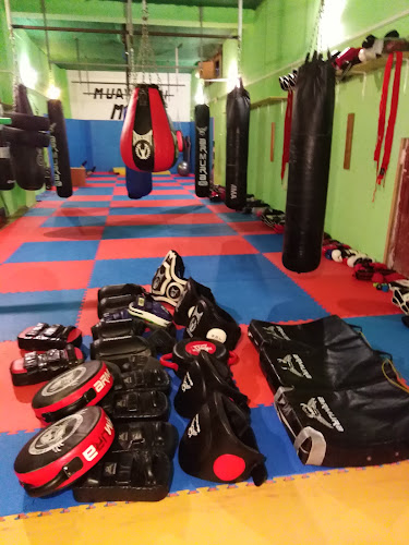 Academia MMA Echipa Babu - Sala de Fitness