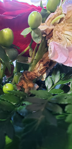 Florist «Axelrod Flowers», reviews and photos, 4429 Whitaker Ave, Philadelphia, PA 19120, USA