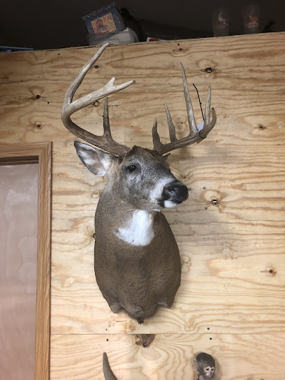 Prairie acres taxidermy