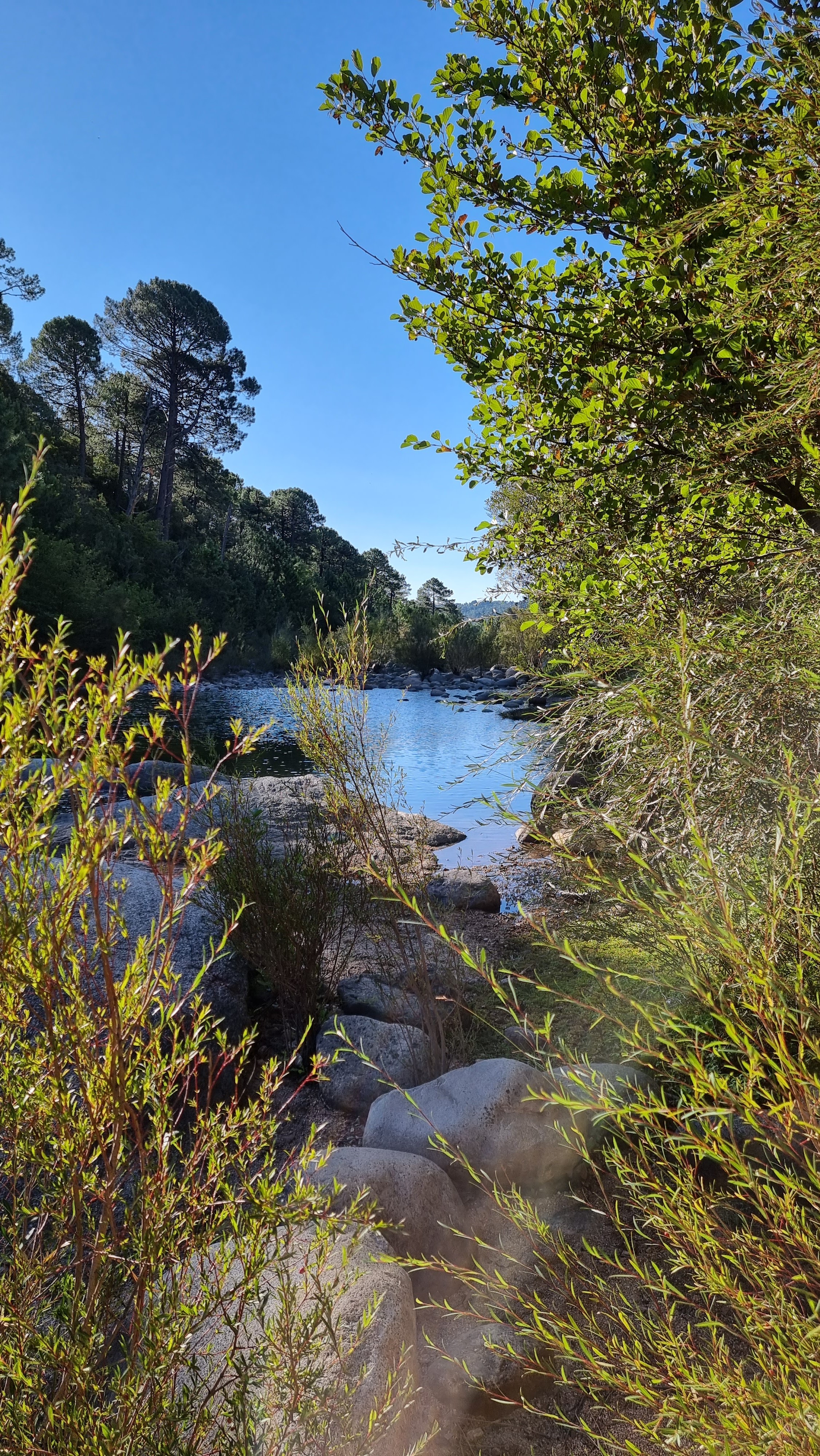 Photo n° 2 de l'avis de Laurent.u fait le 05/09/2023 à 21:28