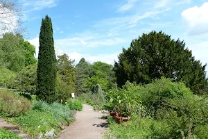 du col de Saverne Botanical Garden image
