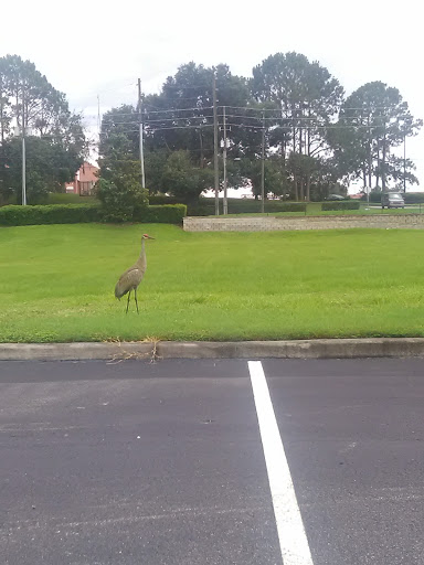 Pet Supply Store «Pet Supermarket», reviews and photos, 7822 Gall Blvd, Zephyrhills, FL 33541, USA