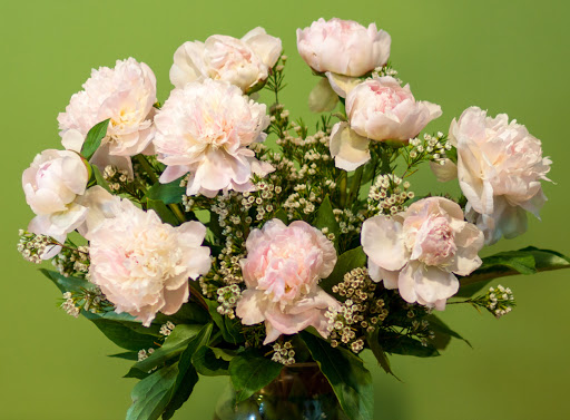 Florist «Feldis Florists Inc», reviews and photos, 2170 Sunrise Hwy, Merrick, NY 11566, USA