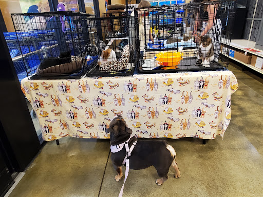 Pet Supply Store «PetSmart», reviews and photos, 300 N Congress Ave, Lake Park, FL 33403, USA