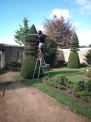 A l'écoute de l'arbre à Tennie