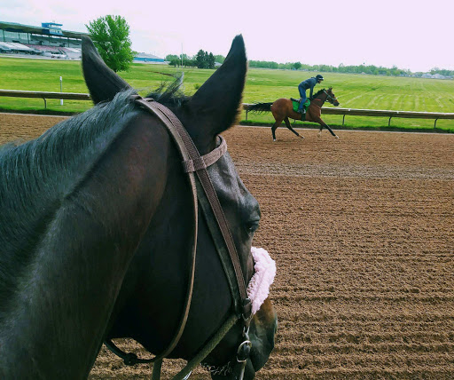 Casino «Finger Lakes Gaming & Racetrack», reviews and photos, 5857 NY-96, Farmington, NY 14425, USA