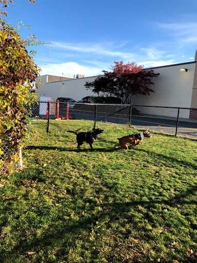 Movie Theater «AMC Assembly Row 12», reviews and photos, 395 Artisan Way, Somerville, MA 02145, USA