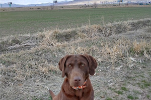 Bear River Animal Hospital: Mickelson Ira DVM