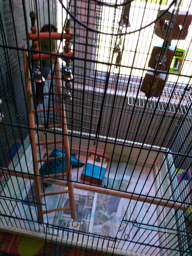 Pet Supply Store «PetSmart», reviews and photos, 60 NJ-17, Paramus, NJ 07652, USA