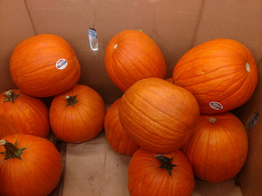 Supermarket «ALDI», reviews and photos, 2610 S Caraway Rd, Jonesboro, AR 72401, USA