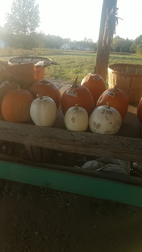 Grocery Store «Liepes Farm & Market», reviews and photos, 3135 S Cologne Ave, Mays Landing, NJ 08330, USA