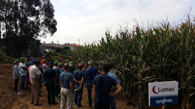 Polidesportivo da Associação Cultural e Recreativa de Valdágua - Ovar