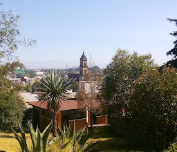 Museo de Historia Natural photo