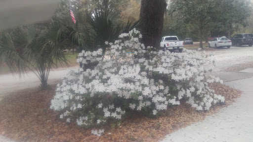 National Park «Charles Pinckney National Historic Site», reviews and photos, 1254 Long Point Rd, Mt Pleasant, SC 29464, USA