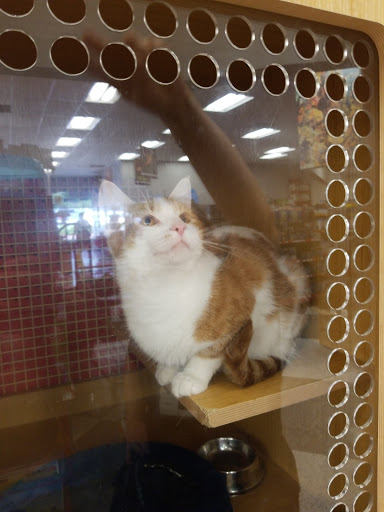 Pet Supply Store «Petco Animal Supplies», reviews and photos, 10060 US Highway 40 G-150, Ellicott City, MD 21042, USA