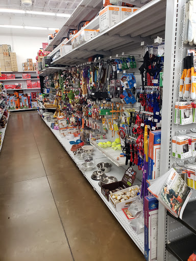 Hardware Store «Chandler Ace Hardware», reviews and photos, 4870 S Gilbert Rd, Chandler, AZ 85249, USA