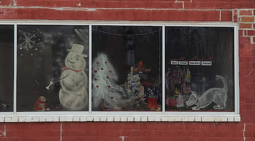 Avenue Veterinary Supply