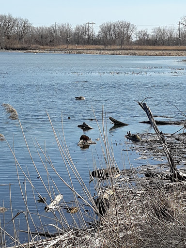 National Park «River Raisin National Battlefield Park Visitor Center», reviews and photos, 1403 E Elm Ave, Monroe, MI 48162, USA