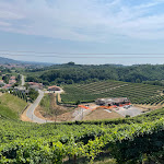 Photo n°13 de l'avis de Tom.i fait le 25/11/2023 à 14:43 sur le  Osteria di Ramandolo à Nimis