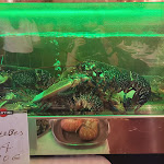 Photo n°8 de l'avis de SNITE. fait le 16/07/2022 à 18:26 sur le  Restaurante Mariana à Viana do Castelo