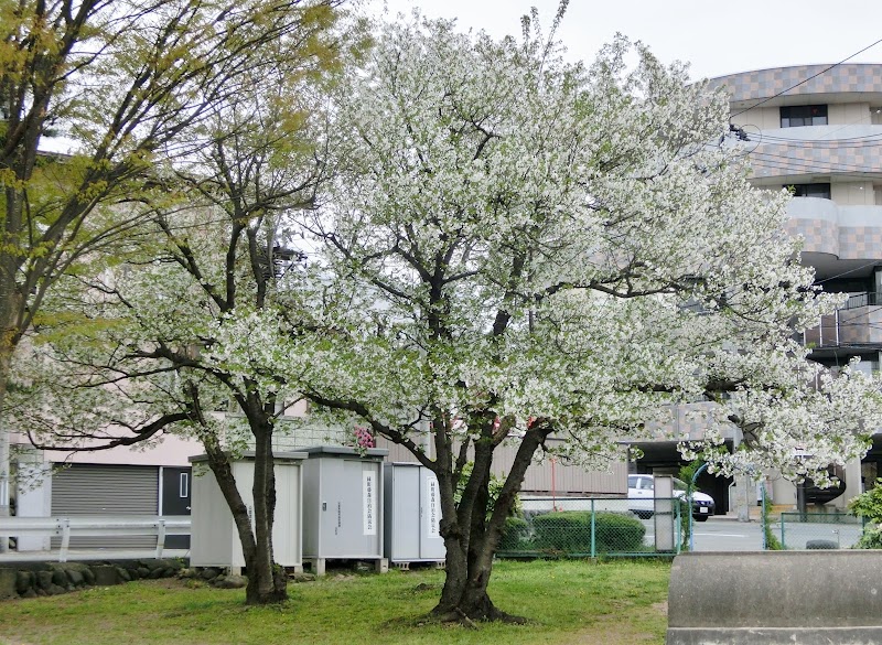 緑町公園