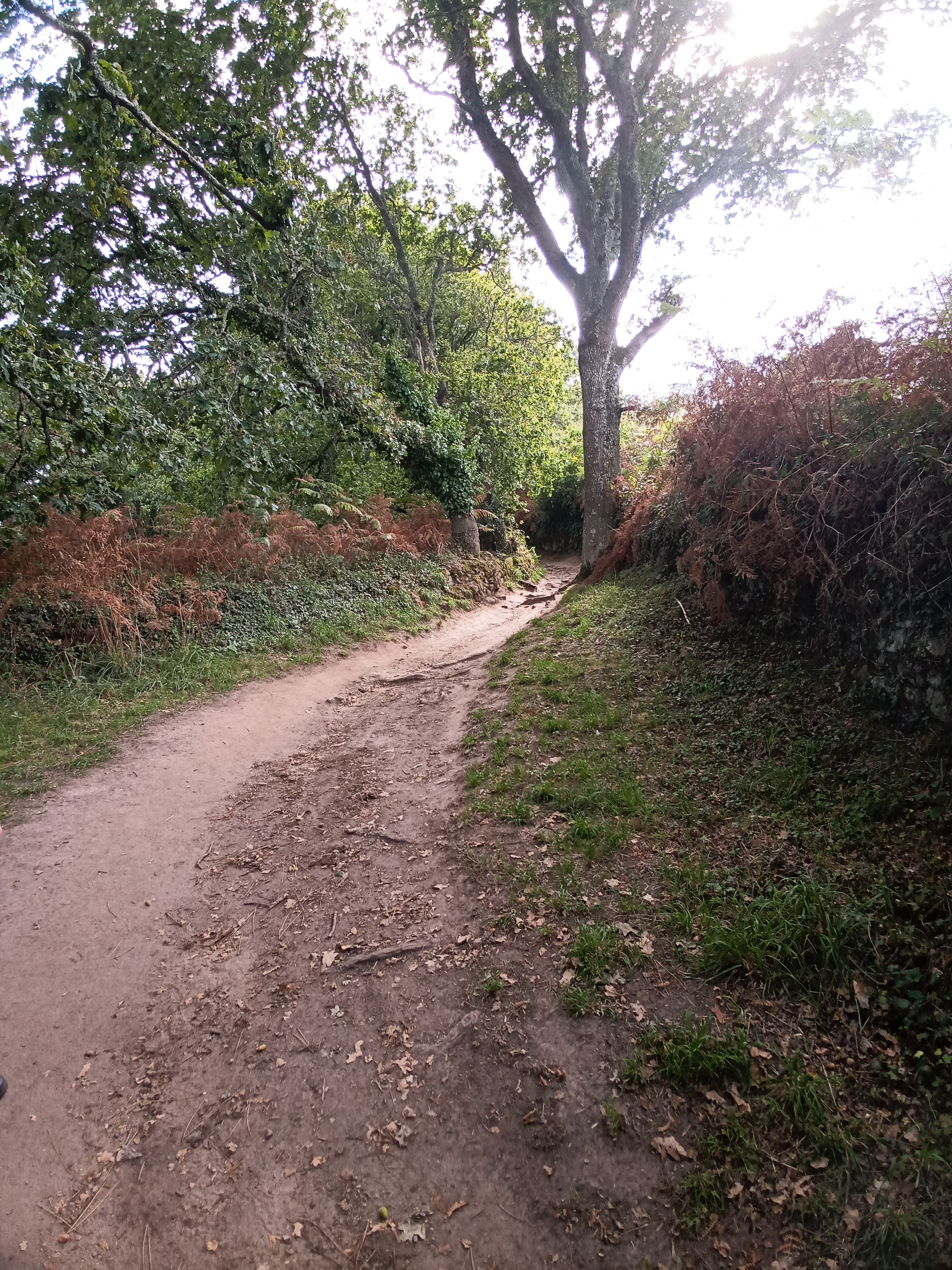Photo n° 1 de l'avis de thierry.u fait le 17/09/2022 à 07:48