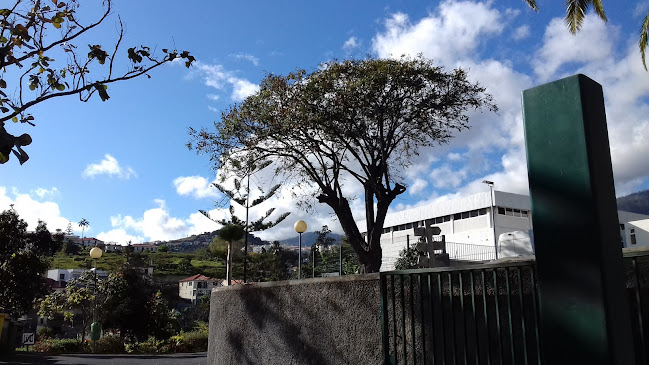 Avaliações doEscola Dr. Horácio Bento de Gouveia em Funchal - Escola