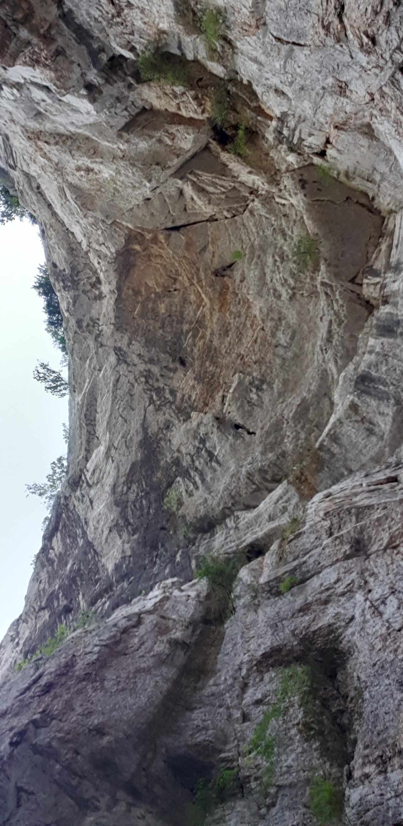 Photo n° 3 de l'avis de Stéphane.l fait le 16/08/2019 à 20:33
