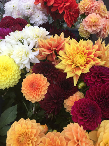 Park «South Park Blocks», reviews and photos, SW Park Ave, Portland, OR 97204, USA