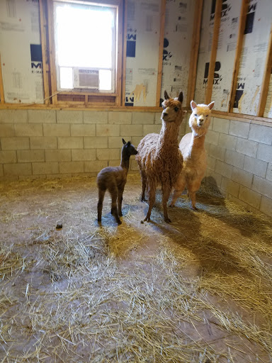 Humane Society of Parkersburg