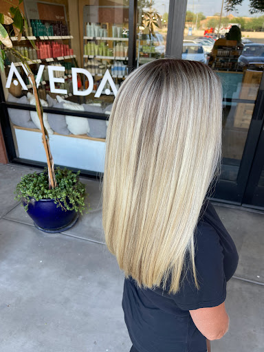 Hair Salon «Distinctive Salon and Spa East Mesa», reviews and photos, 2910 N Power Rd #101, Mesa, AZ 85215, USA