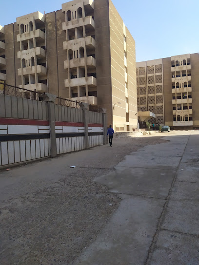 مبني د.أحمد عمر هاشم المدينة الجامعية
