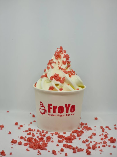 FroYo Frozen Yogurt