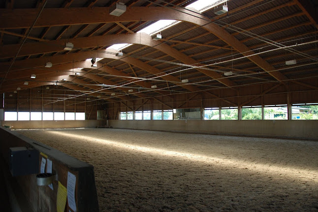 Rezensionen über Pferdesportzentrum Rooswisler in Winterthur - Sportstätte