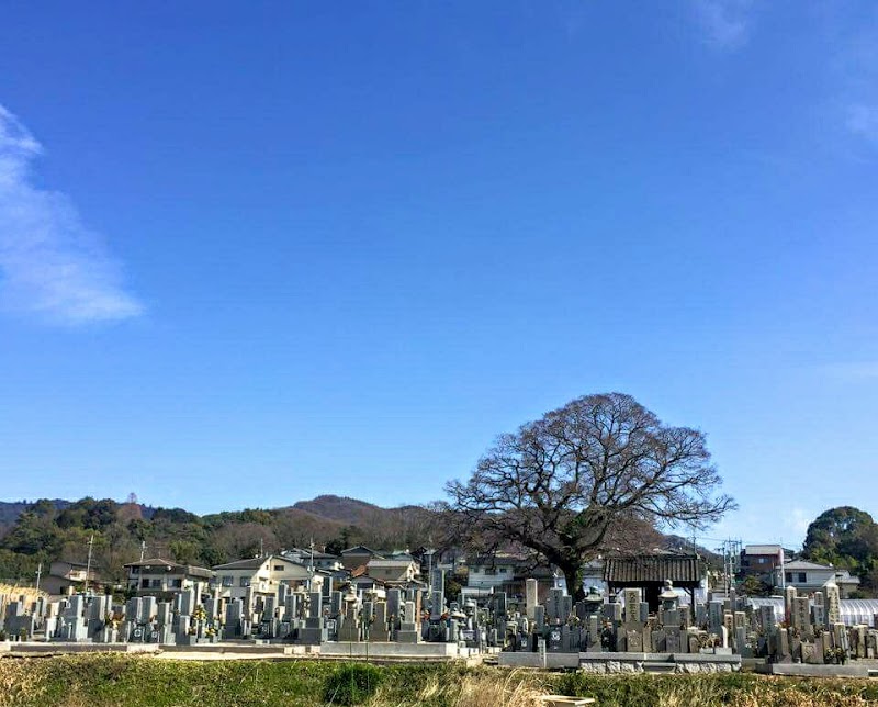 奈良のお墓