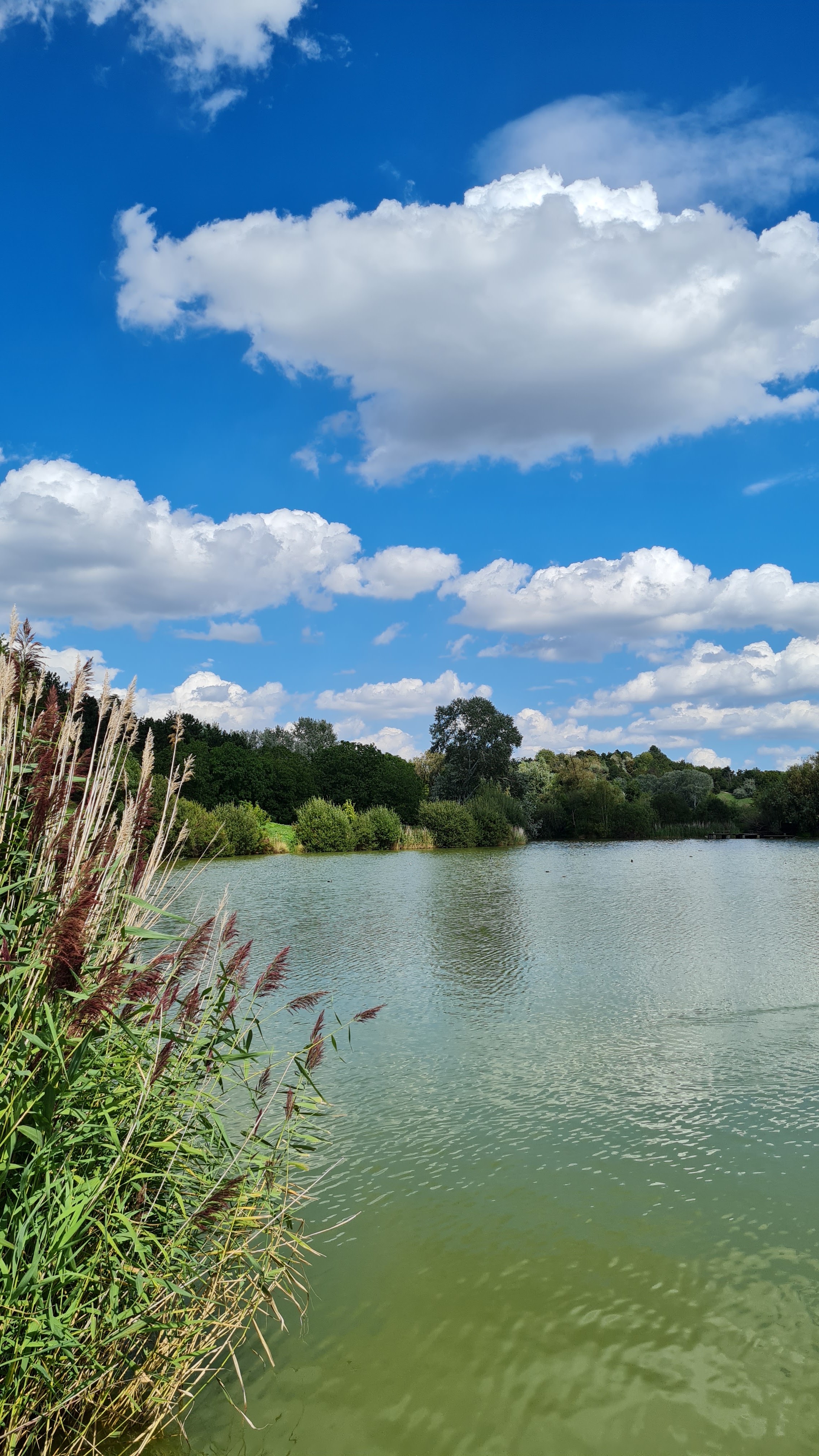Photo n° 3 de l'avis de Laure. fait le 24/06/2019 à 15:35