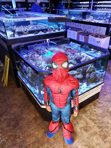Tropical Fish Store «Premier Aquatics», reviews and photos, 1801 Roswell Rd, Marietta, GA 30062, USA