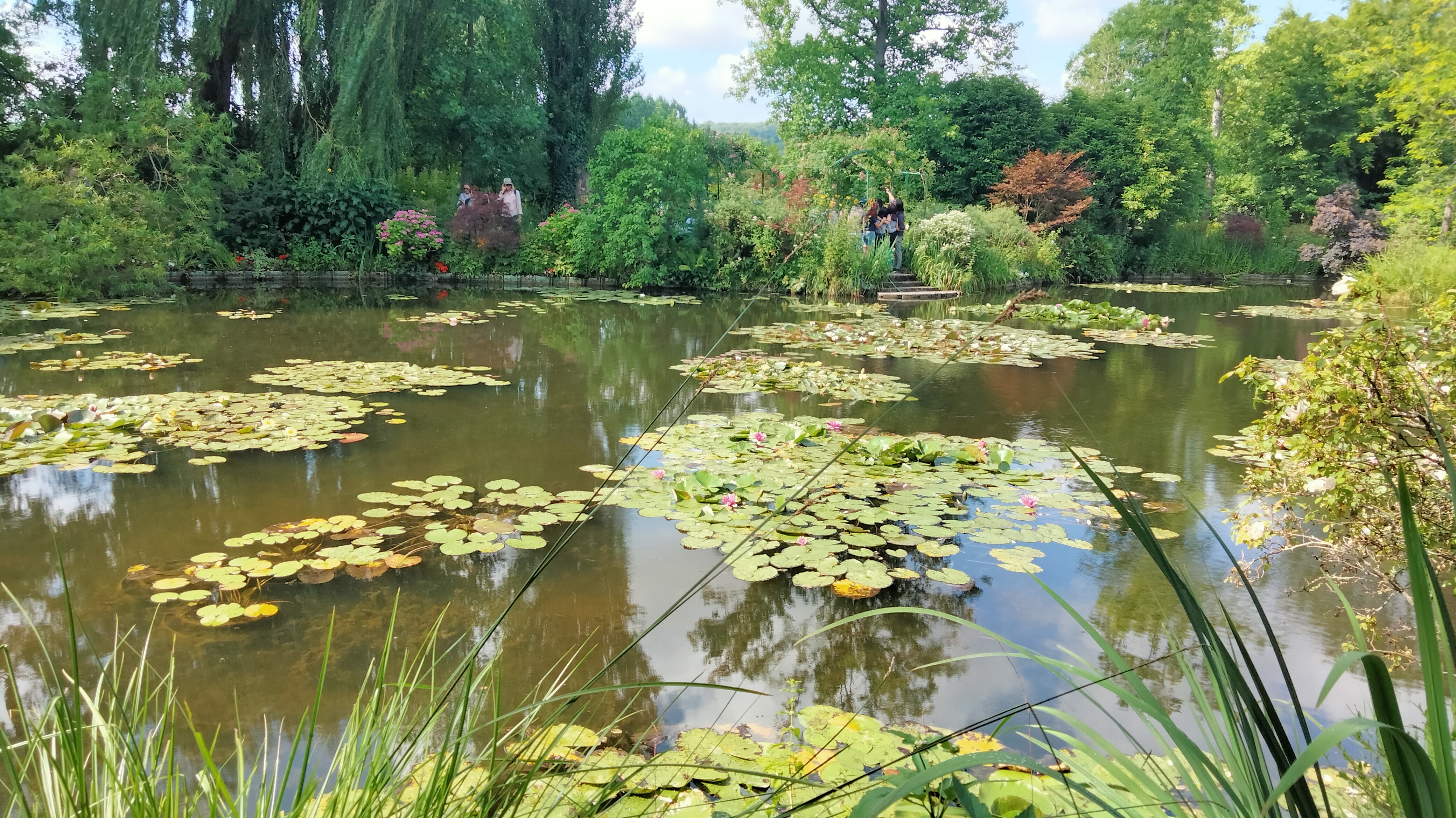 Photo n° 3 de l'avis de Sylvie.o fait le 21/07/2023 à 18:45