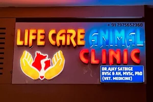 Life Care Animal Clinic, Compassionate and Experts Care For Your Pets image