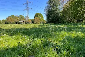 Dog walking area Höltigbaum image